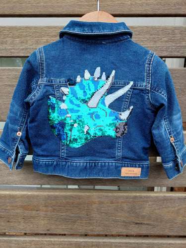 Dinosaur jacket